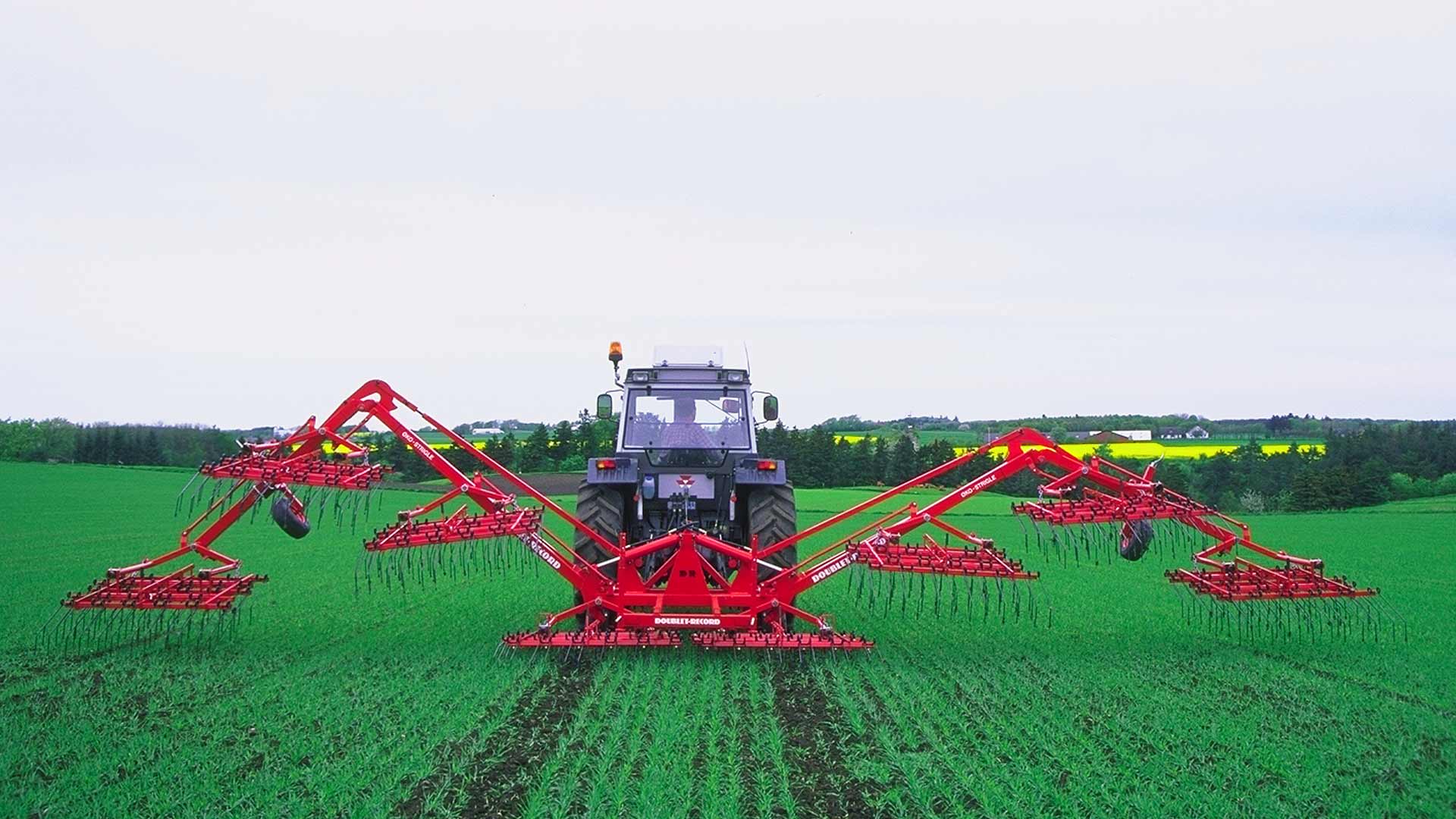 HE-VA Weeder HD Pflegestriegel 9 Meter HE-VA Weeder HD Pflegestriegel 9 Meter